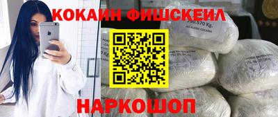 гидропоника Камышлов