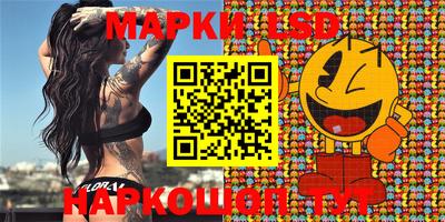 гидропоника Камышлов