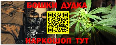 гидропоника Камышлов