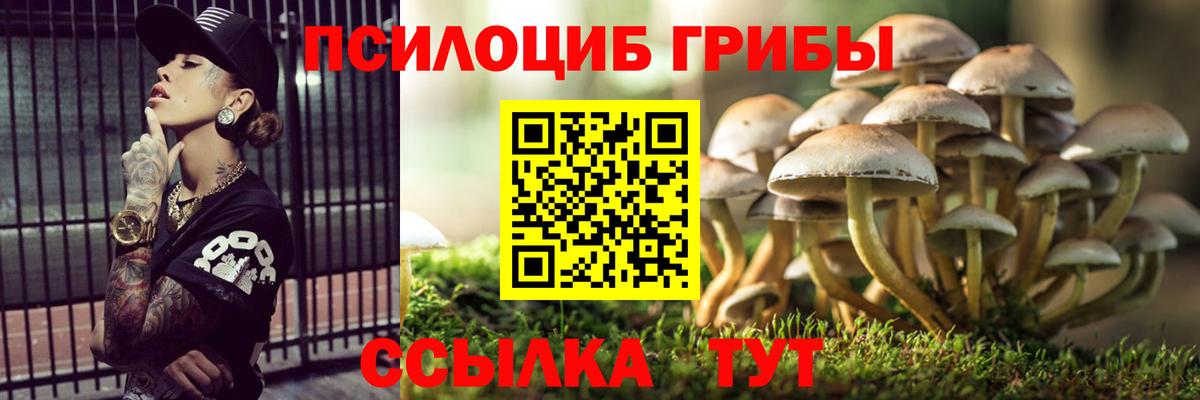 Кувандык  Псилоцибиновые грибы ЛСД  даркнет сайт  Вход с VPN 